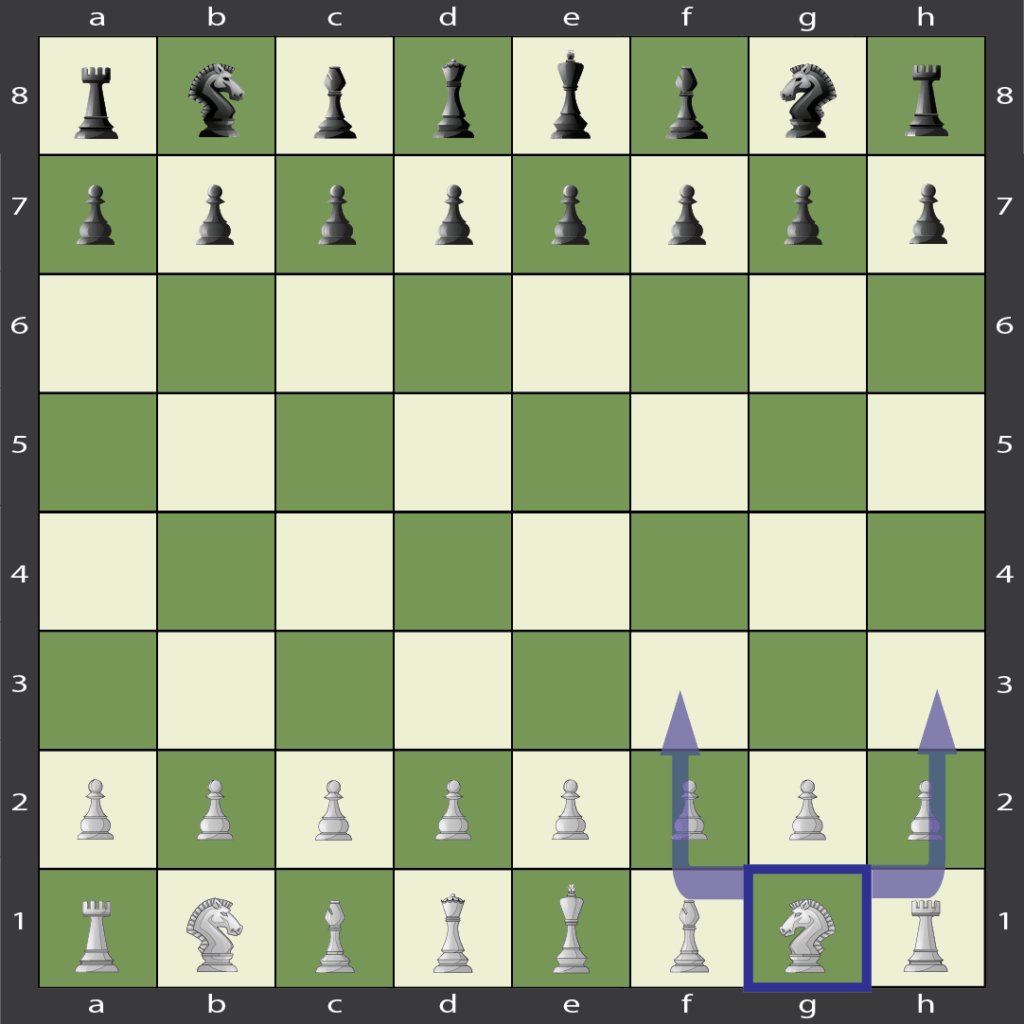 Knight directional move options in chess