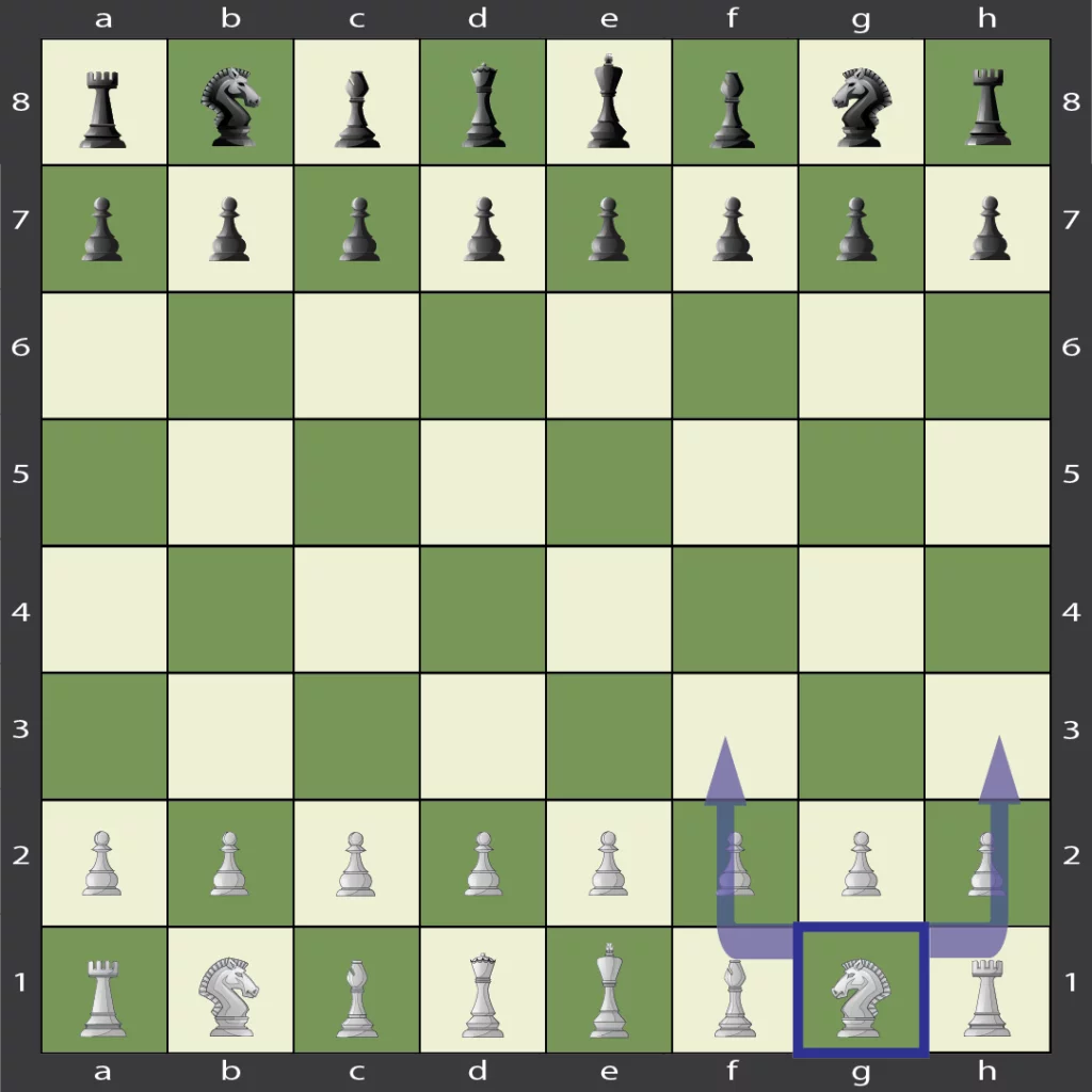 Knight directional move options in chess